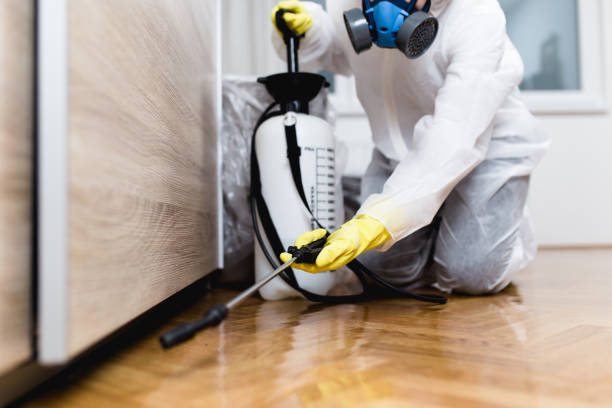 Best Exterminator Services  in Coolidge, AZ