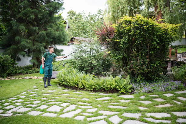 Best Local Pest Control Services  in Coolidge, AZ