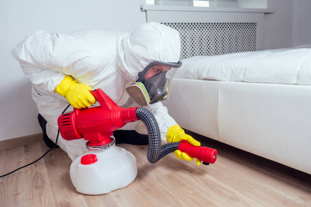 Best Flea Control Services  in Coolidge, AZ
