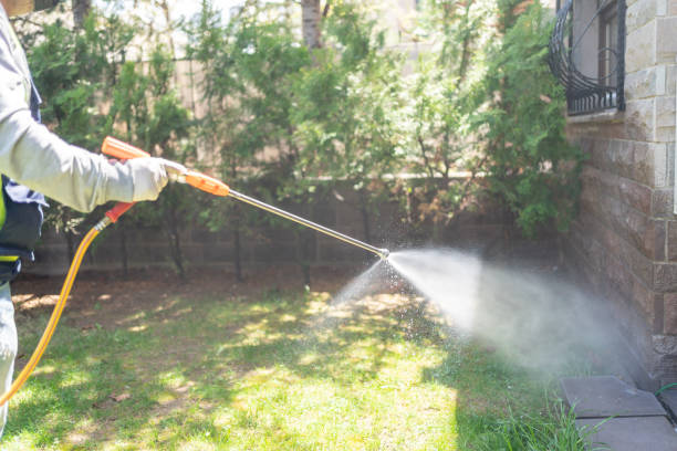 Best Bed Bug Extermination  in Coolidge, AZ