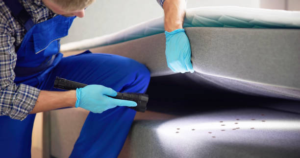Best Wasp Removal Services  in Coolidge, AZ